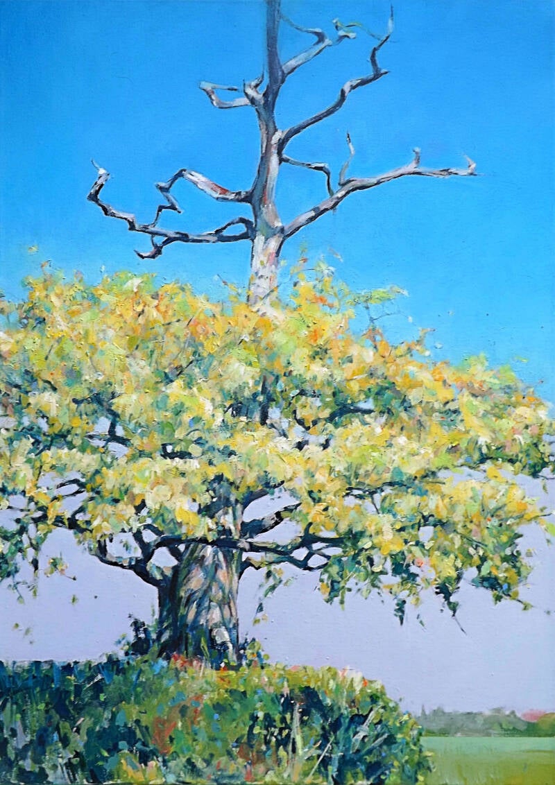 Art, Painting, Oil painting, Landscape, Tree. Oak, Regrowth, Farmland, Hedge, Countryside, Summer