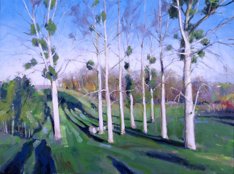 Art, Painting, Oil painting, Landscape, Trees, Woodland, Shadows, Mistletoe, Winter, France, Dordogne