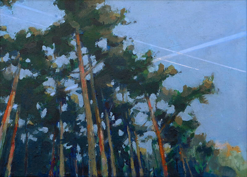 Art, Painting Oil painting, Landscape, Plantation, Tree, Pine, Scots Pine, Jet trail, Line