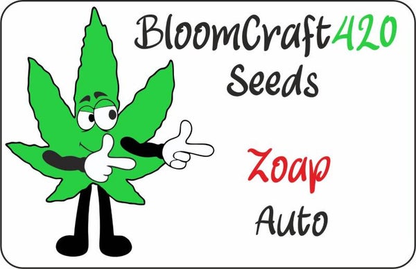 Zoap - Auto