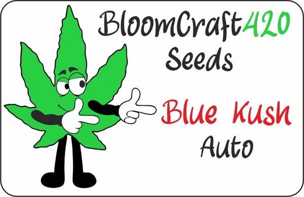 Blue Kush - Auto - Unique