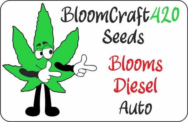 Bloom's Diesel - Auto