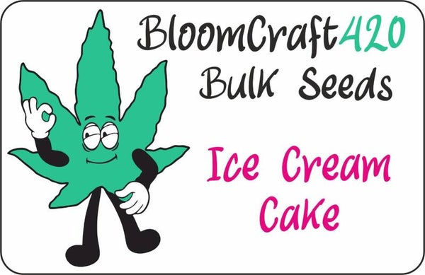 Ice Cream Cake - Photo