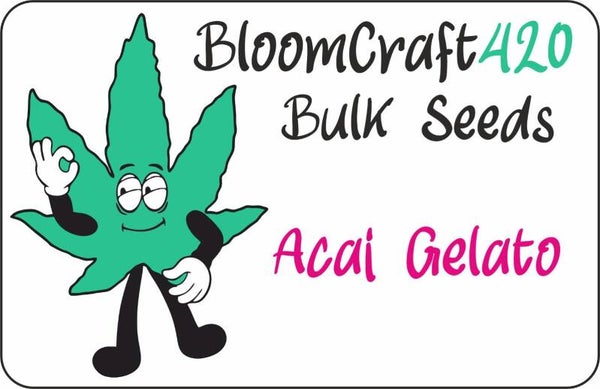 Acai Gelato - Photo