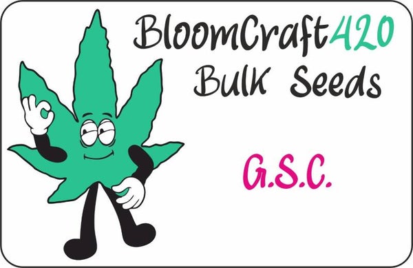 G.S.C. Girl Scout Cookiez - Photo - Hybride