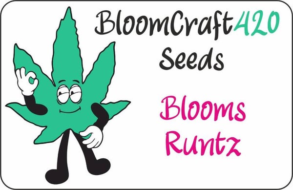Bloom's Runtz - Photo - Hybride