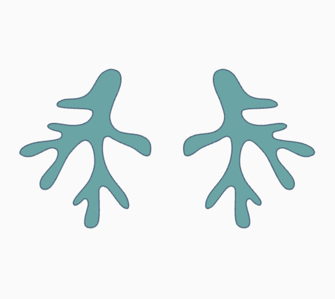 Klei cutters uitsteekvormen ~ Koraal