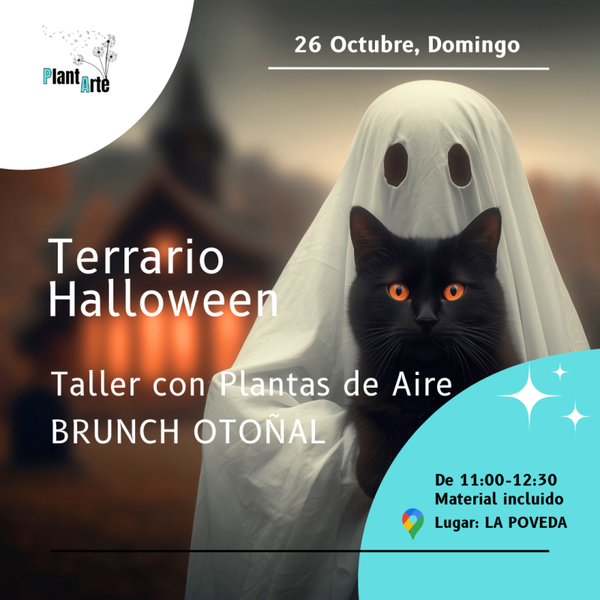 Terrario Halloween con Plantas de Aire: Edición Brunch Otoñal