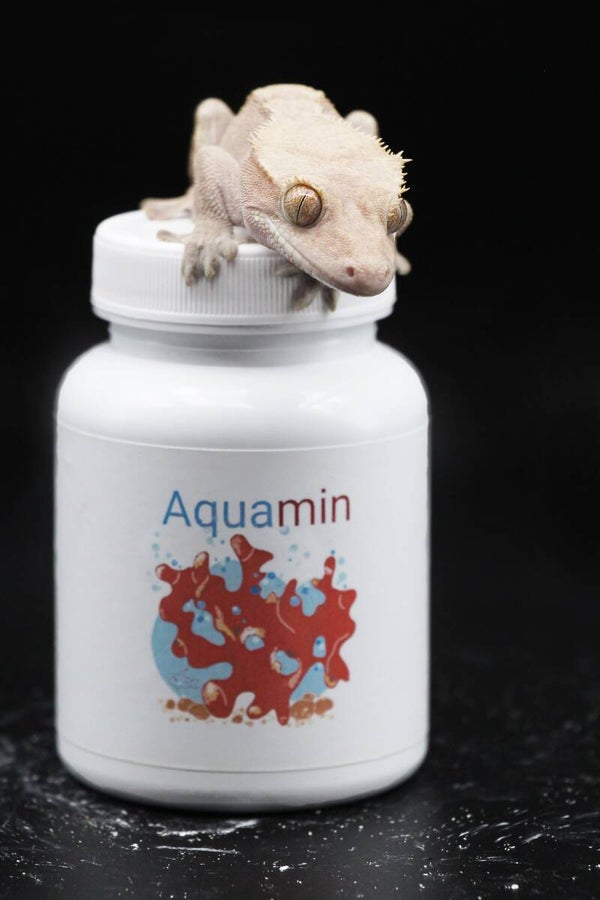 Aquamin