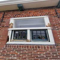 1000042352-standard.jpg