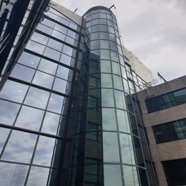 20190711_145105-standard.jpg