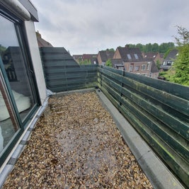20210526_092519-standard.jpg