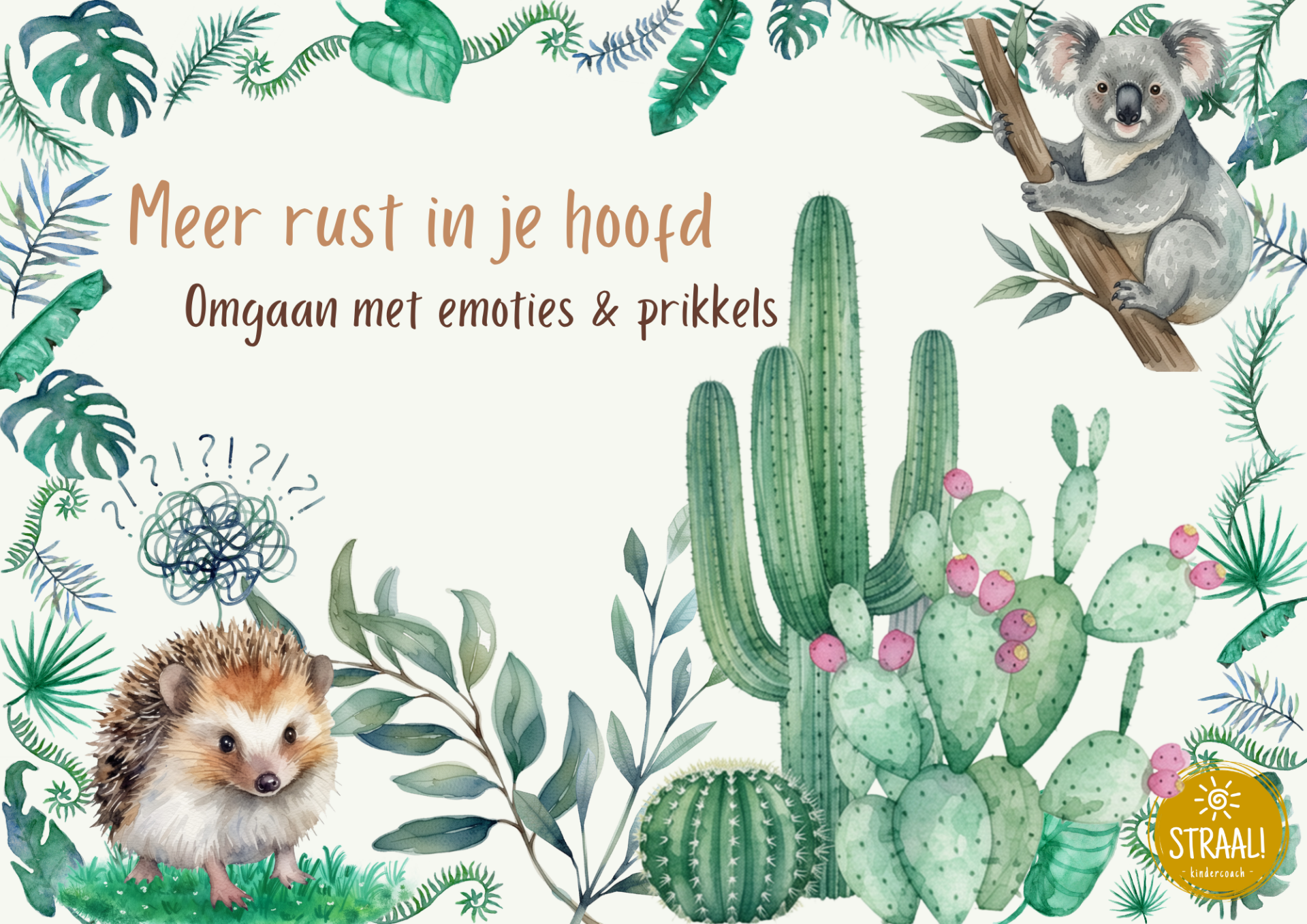 Groeitraject - omgaan met emoties & prikkels