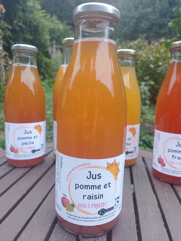 Les jus 100% fruits 75 cl