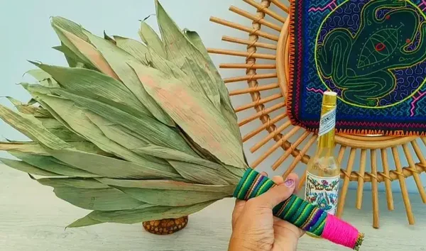 Chacapa, Shacapa