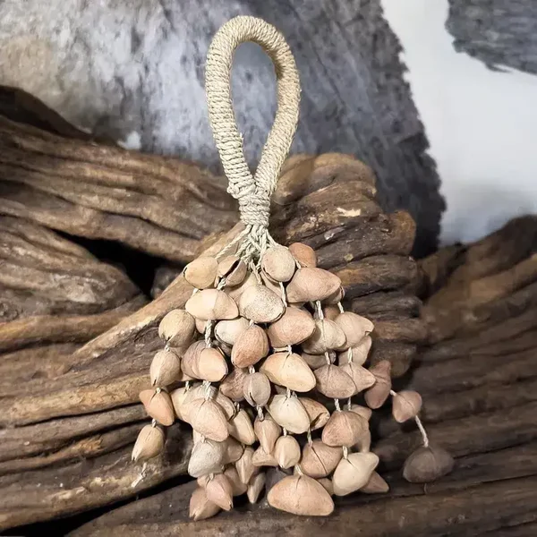 Sacred seed Ratle