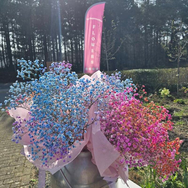 Boeket gipskruid in geweldige kleurtjes!