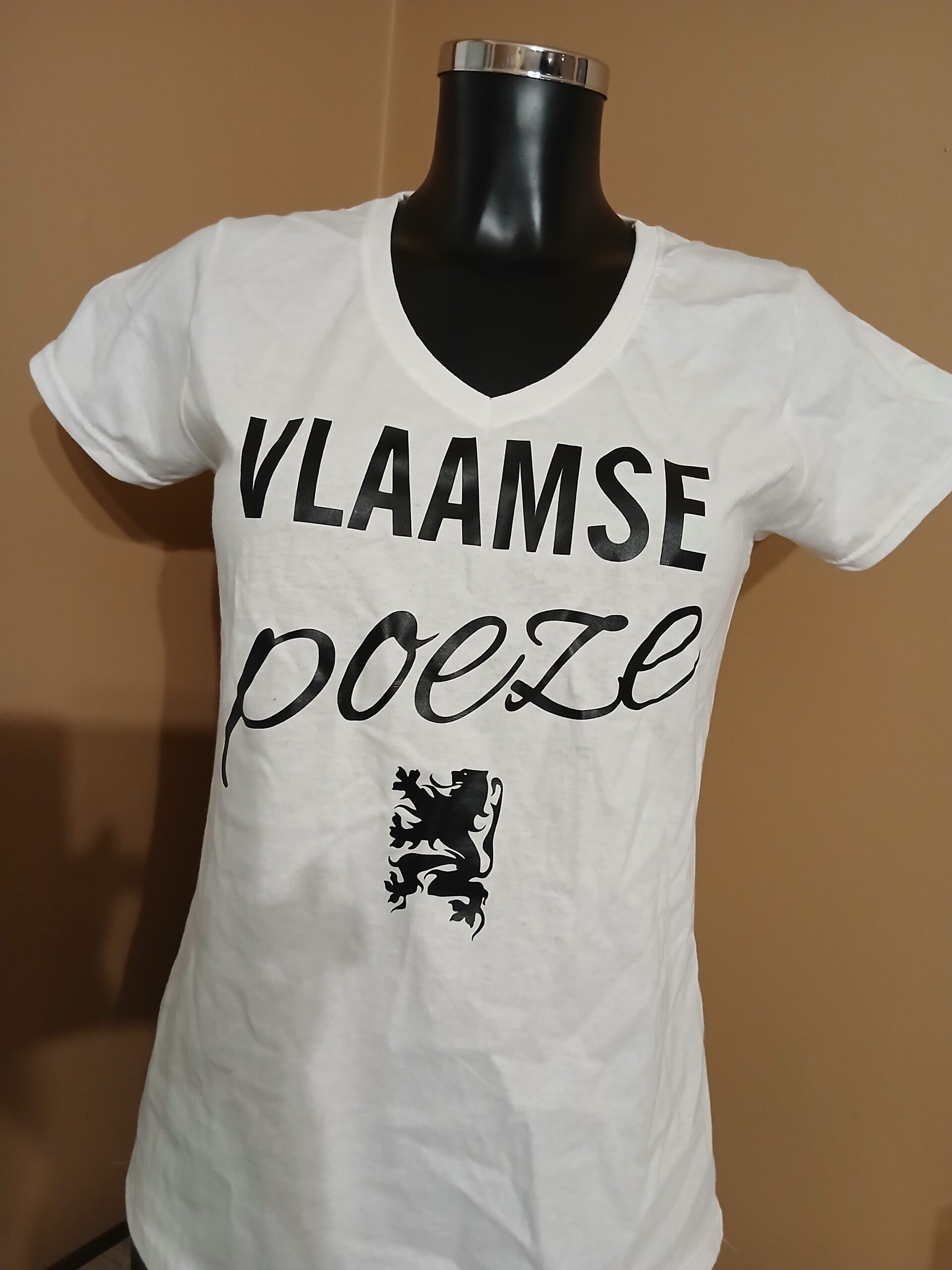 Vlaamse poeze wit