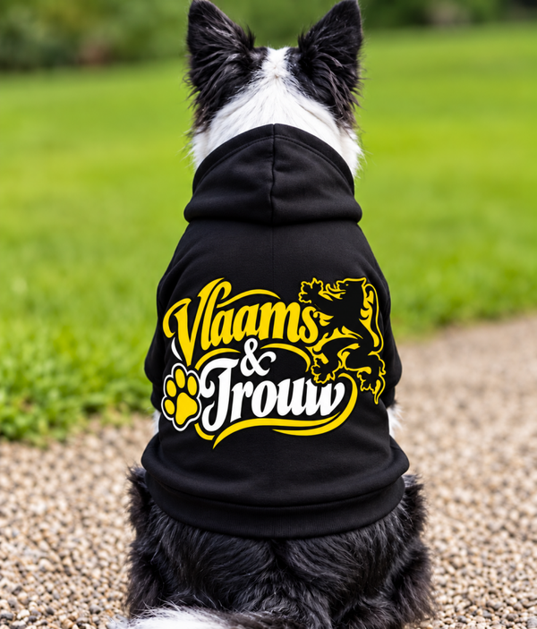 Vlaams & trouw
