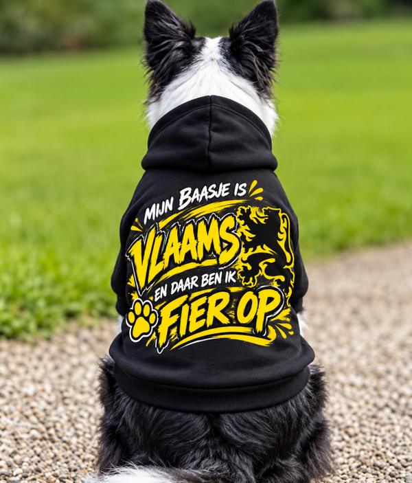 Vlaams baasje
