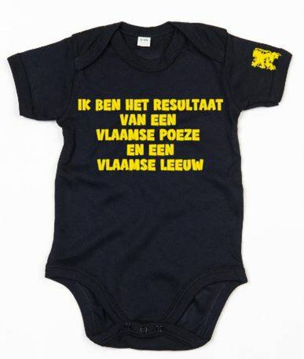 het resultaat
