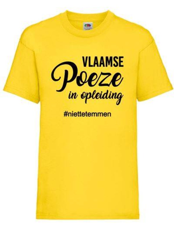 Vlaamse Poeze in opleiding