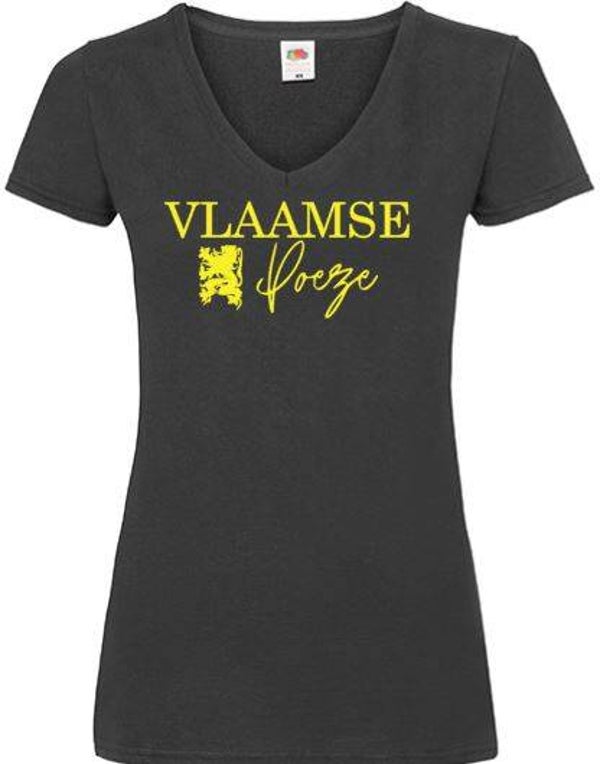 Vlaamse poeze (nieuw)