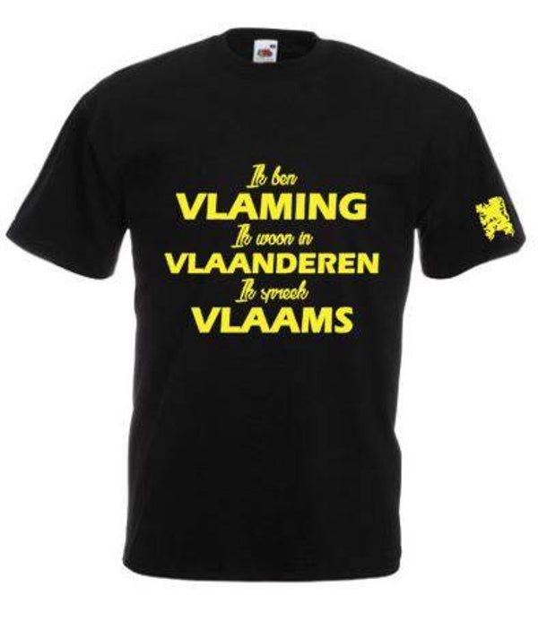 Vlaming/Vlaanderen/Vlaams