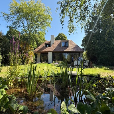 huismetvijver-standard-bmzcoe.jpg