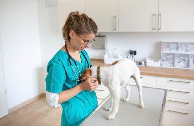 Marie Vogley mit Hund