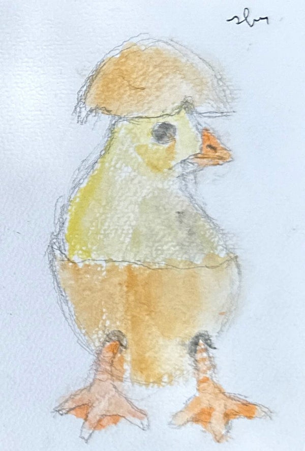 Ansichtkaart Aquarel