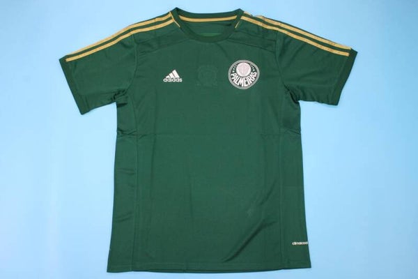 Palmeiras 14