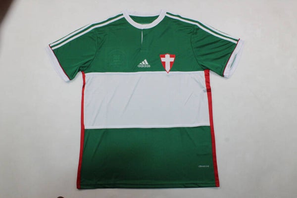 Palmeiras 14