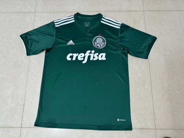Palmeiras 18