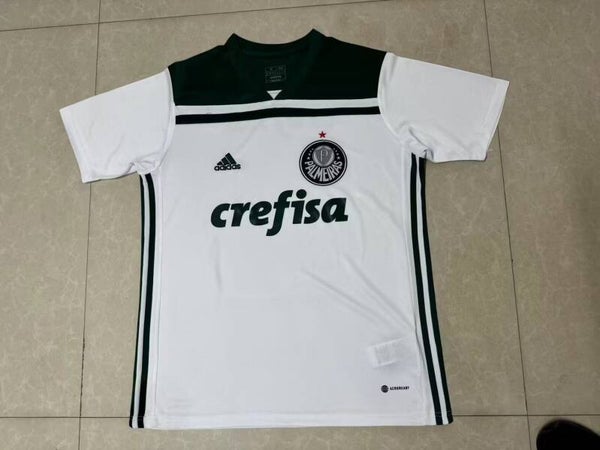 Palmeiras 18