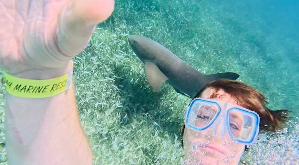 Half Day Snorkeling Hol Chan & Shark Ray Alley