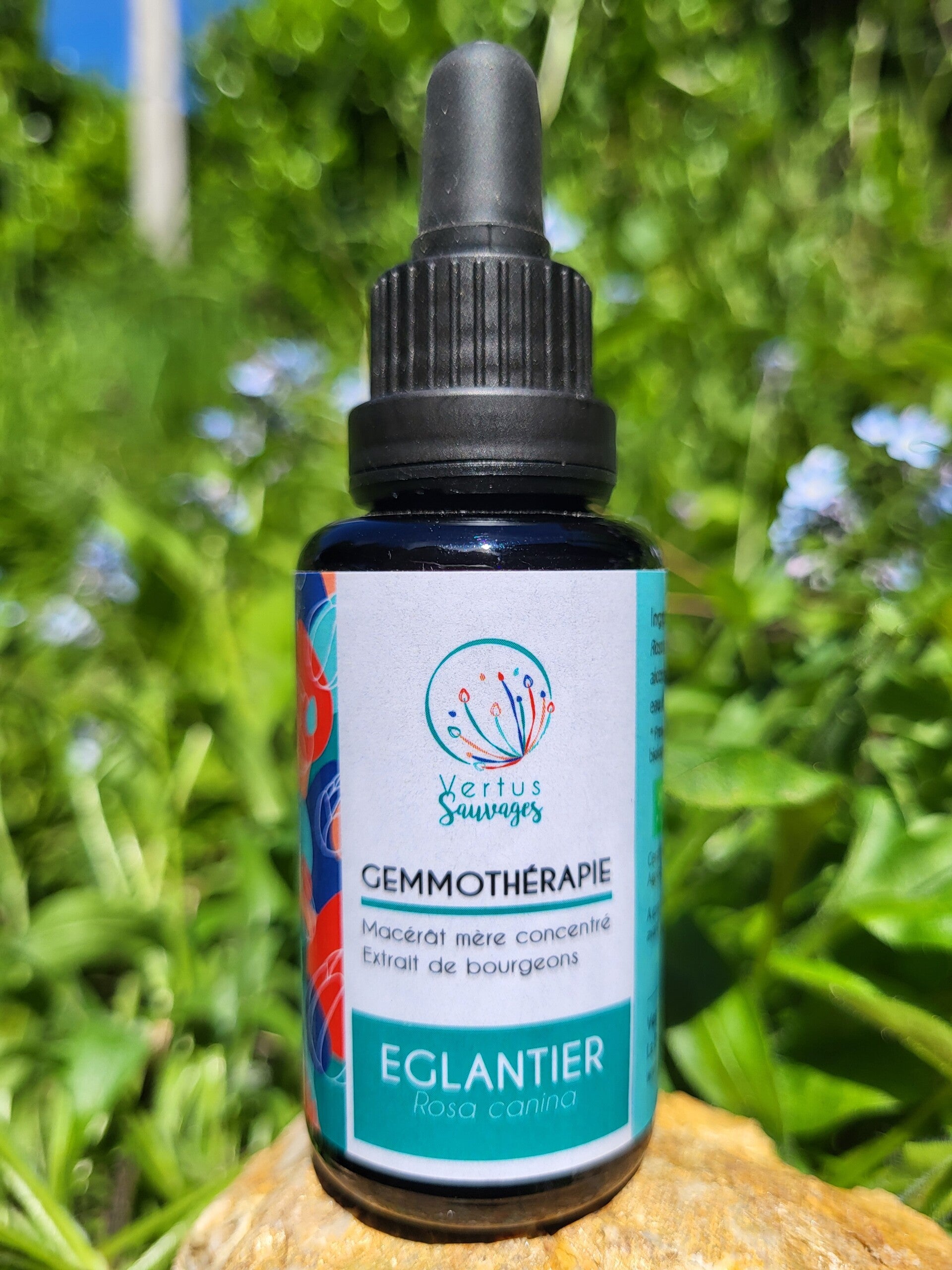 GEMMOTHÉRAPIE EGLANTIER BIO (ROSA CANINA)