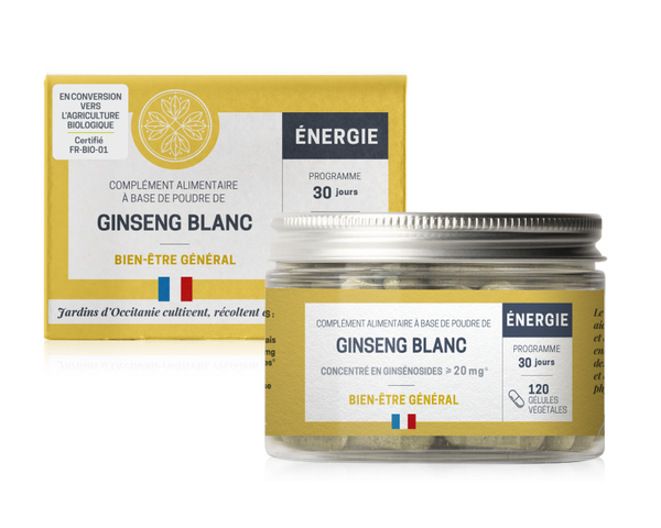 GINSENG BLANC