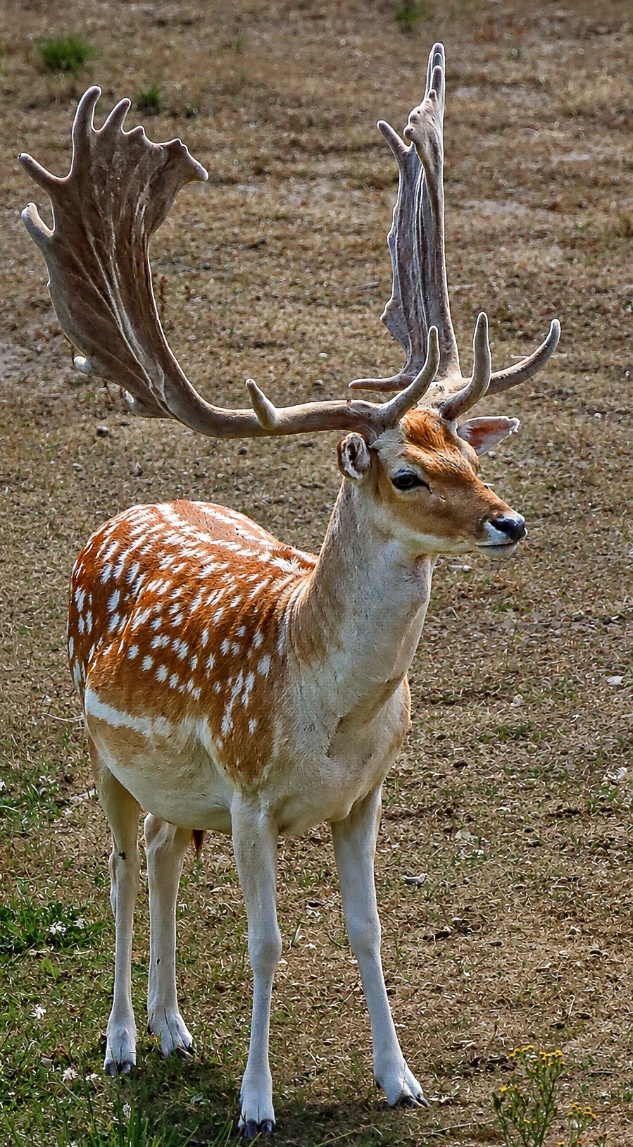 rowned by Nature