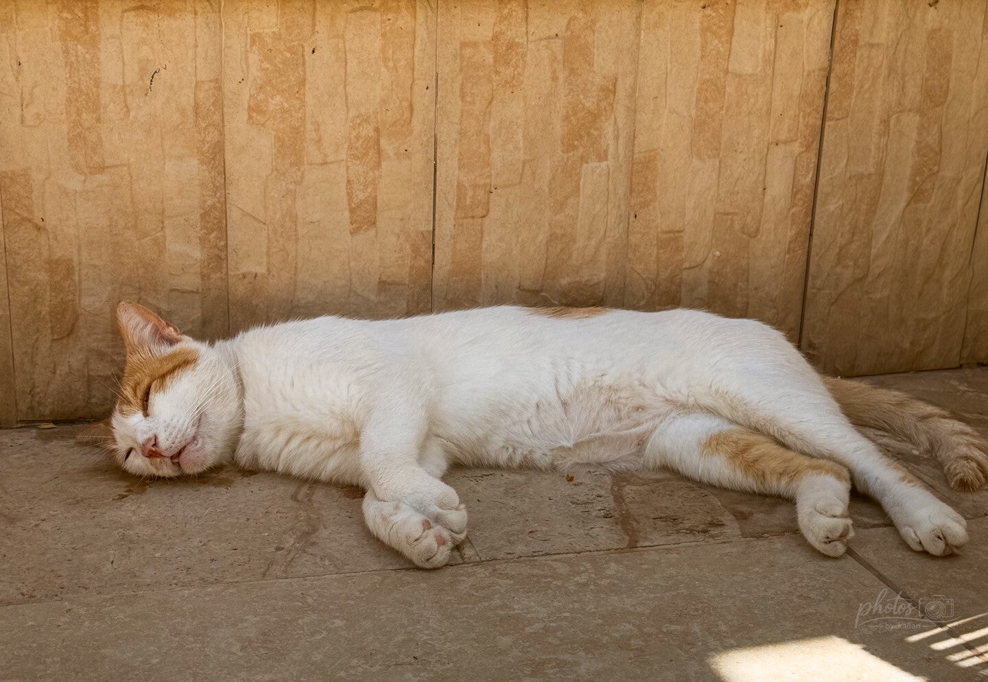 Golden Nap