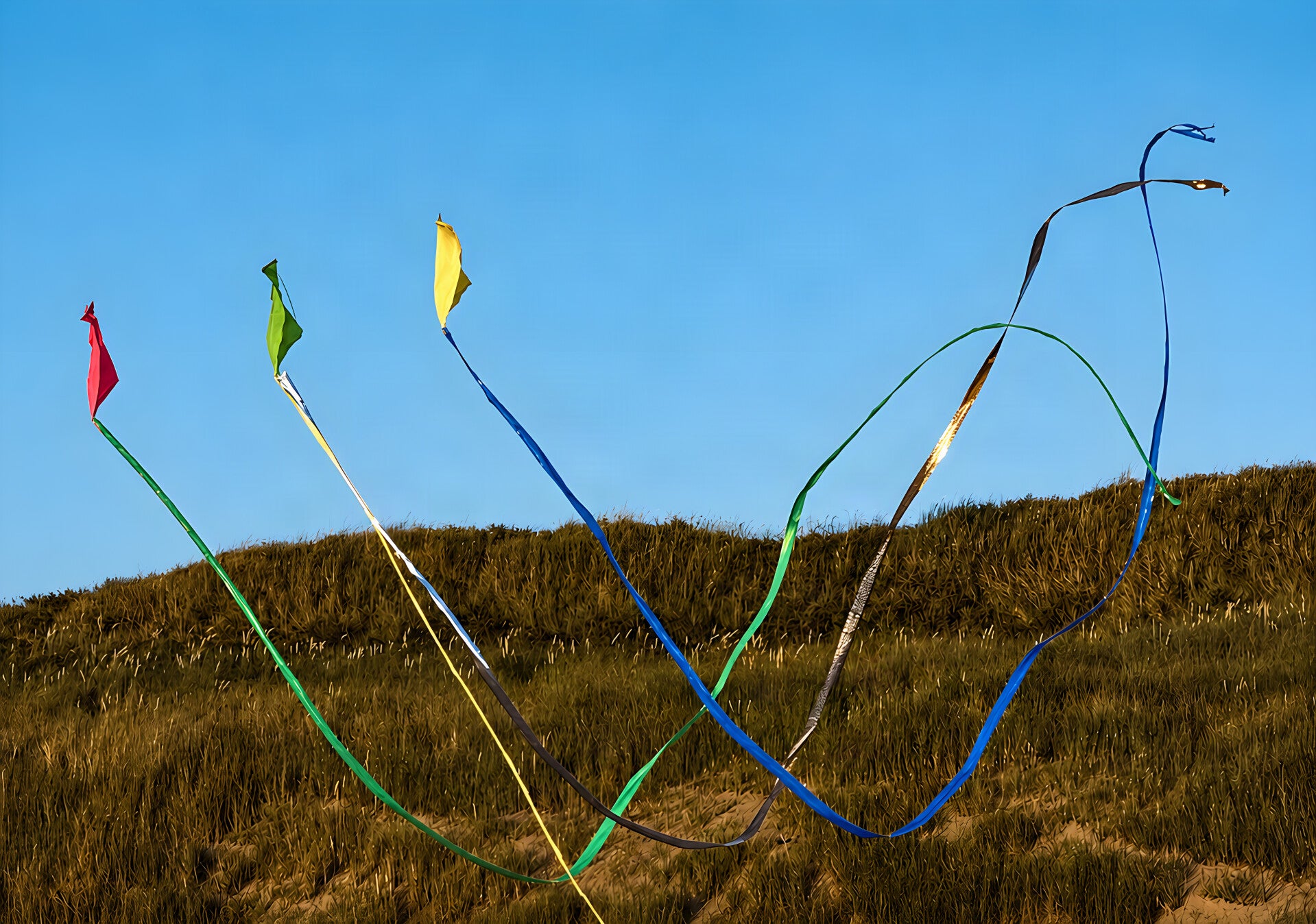 Dancing Kites