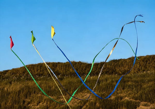 Dancing Kites