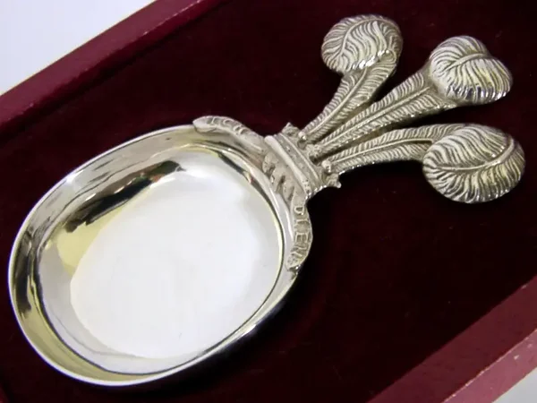 CASED STERLING SILVER PRINCE KING CHARLES CADDY SPOON 1981 ROYALTY