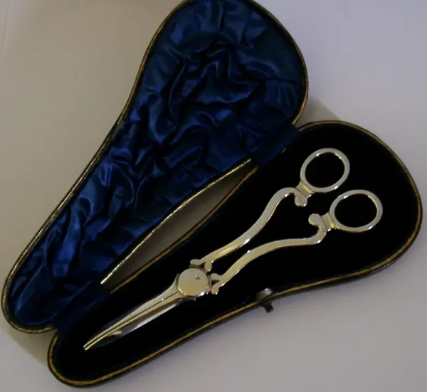 93g 1906 ENGLISH STERLING SILVER GRAPE SHEARS ANTIQUE SUPERB
