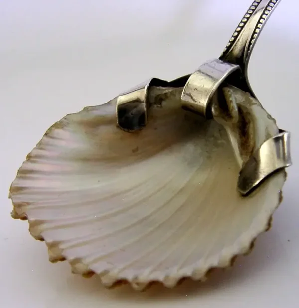 ANTIQUE STERLING SILVER SHELL BOWL CADDY SPOON 1921 ENGLISH