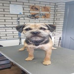 20190510_102322.jpg