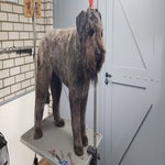 20181109_131430.jpg