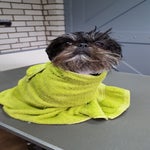 20170428_110950.jpg