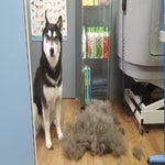 20180407_144923.jpg