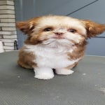 20190905_153903.jpg